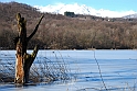 Lago Piccolo di Avigliana ghiacciato_047